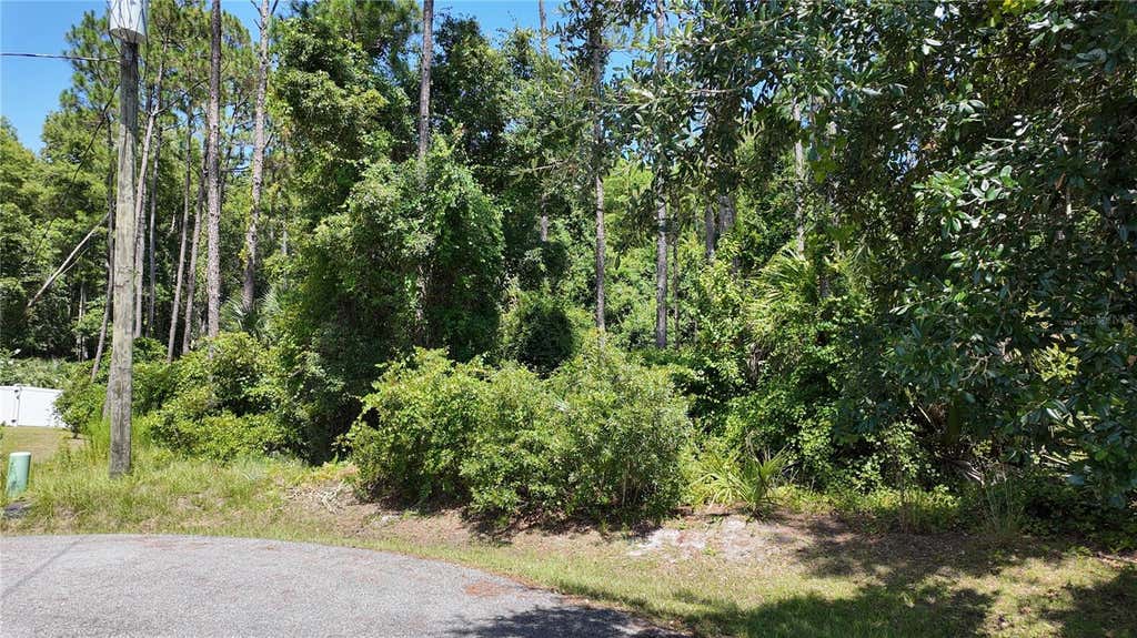 Photo of 8 Zaftig Court, Palm Coast, FL 32164 (MLS # FC319854)