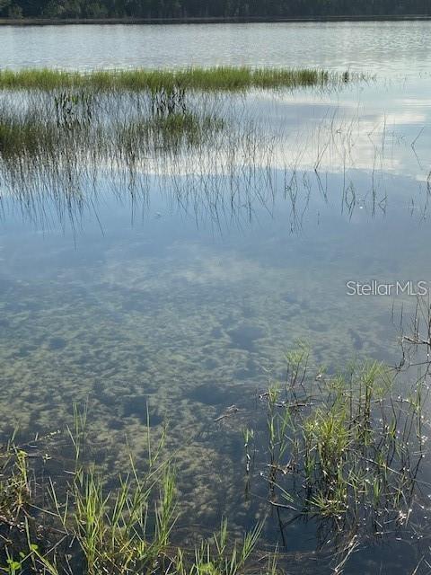 GOVT LEASE LT LAKE CATHERINE - Residential