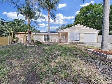 A home in PALM HARBOR