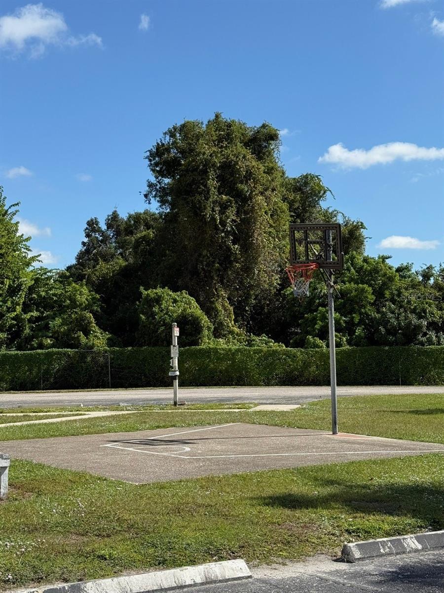 CHELSEA MEADOWS CONDO - Residential Lease