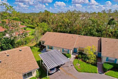 A home in SUN CITY CENTER