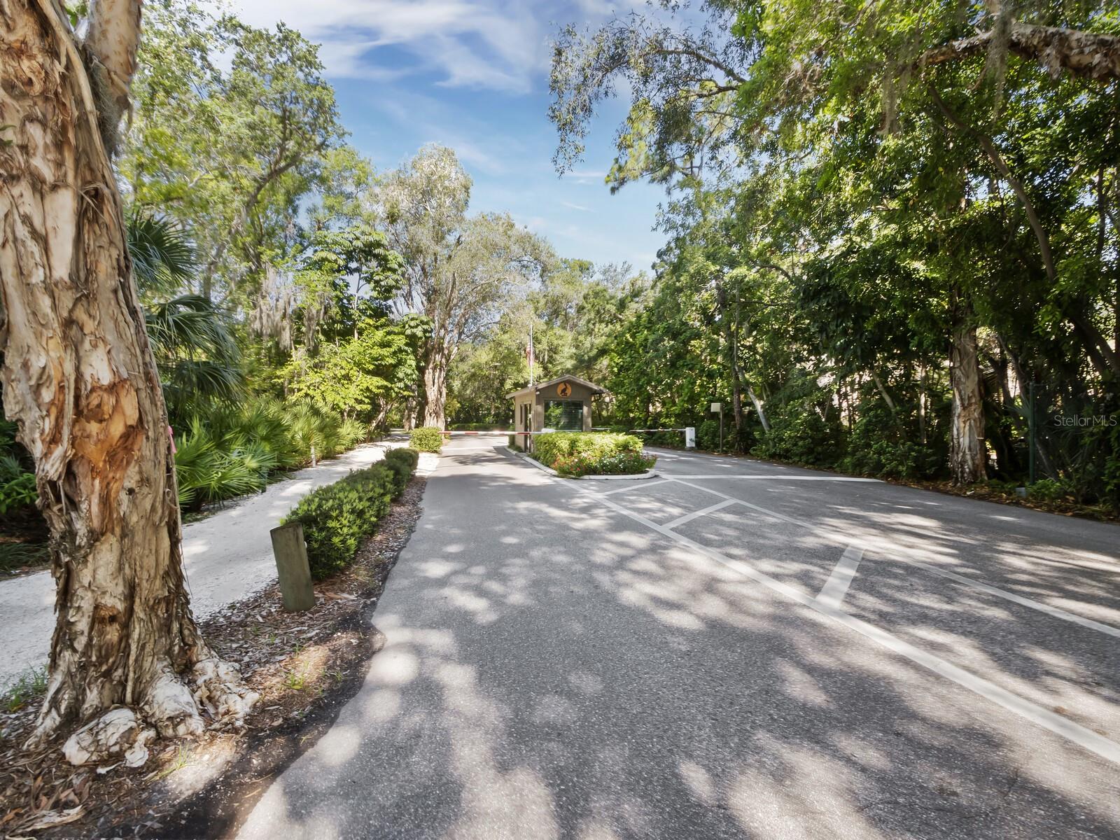 PELICAN COVE VII - Residential