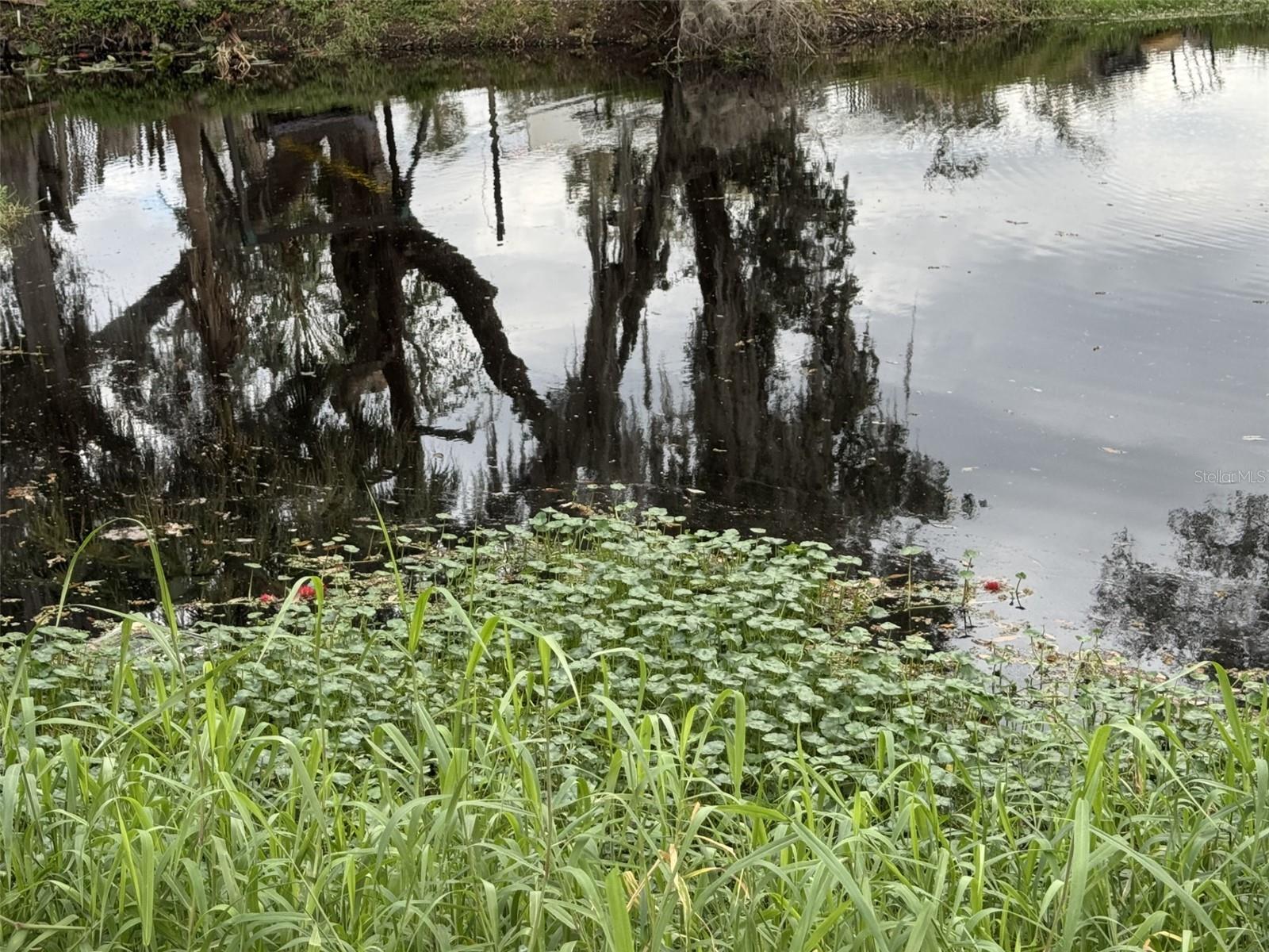 NOT IN SUBDIVISION - Land