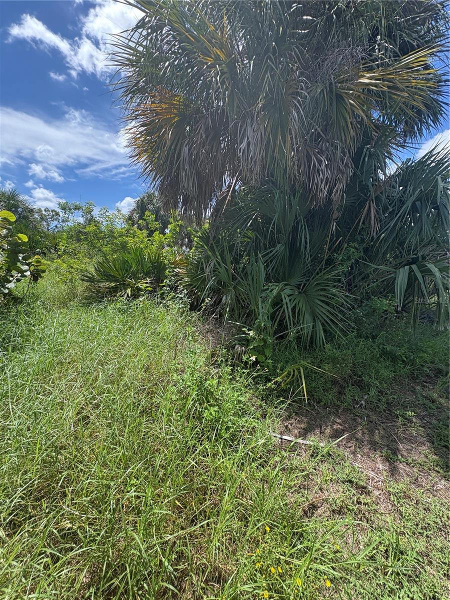 PORT CHARLOTTE SEC 044 - Land