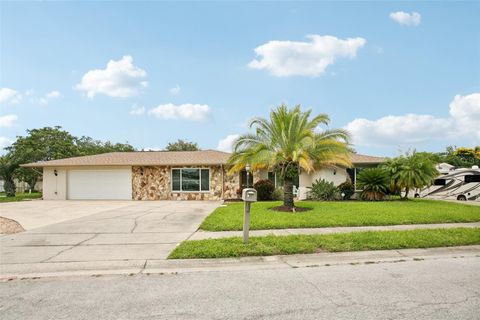 A home in PORT RICHEY