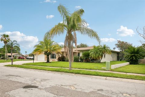 A home in PORT RICHEY