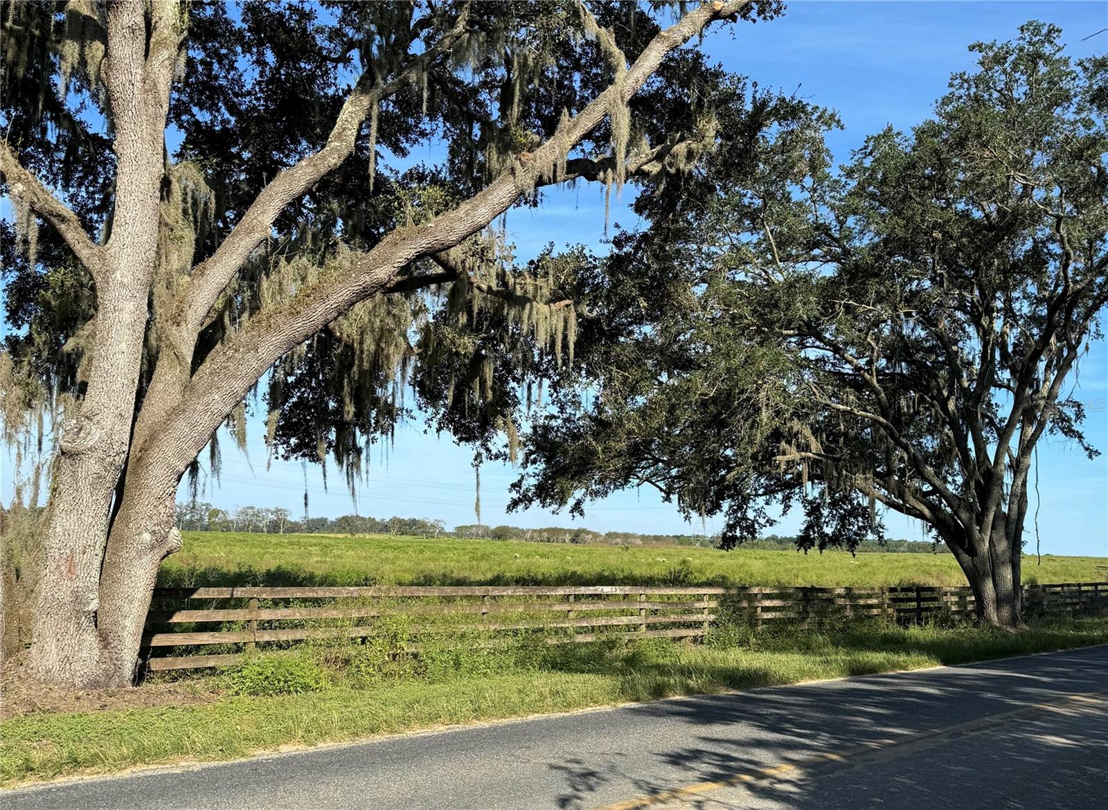 New “HARMONY ESTATES” has convenient access to The Villages with 2-minute drive for shopping, restaurants, medical and entertainment.
This 13.67 acre property is just one of six 11-13+ Acre Country Parcels which could be combined. NO HOA, fees and NO wetlands. Cleared, improved pastureland with paved road frontage and protective covenants. Zoned A-1 for gardens and farm animals. If you are looking for a peaceful, yet convenient place to build a dream home, this is for you! Owner financing available.