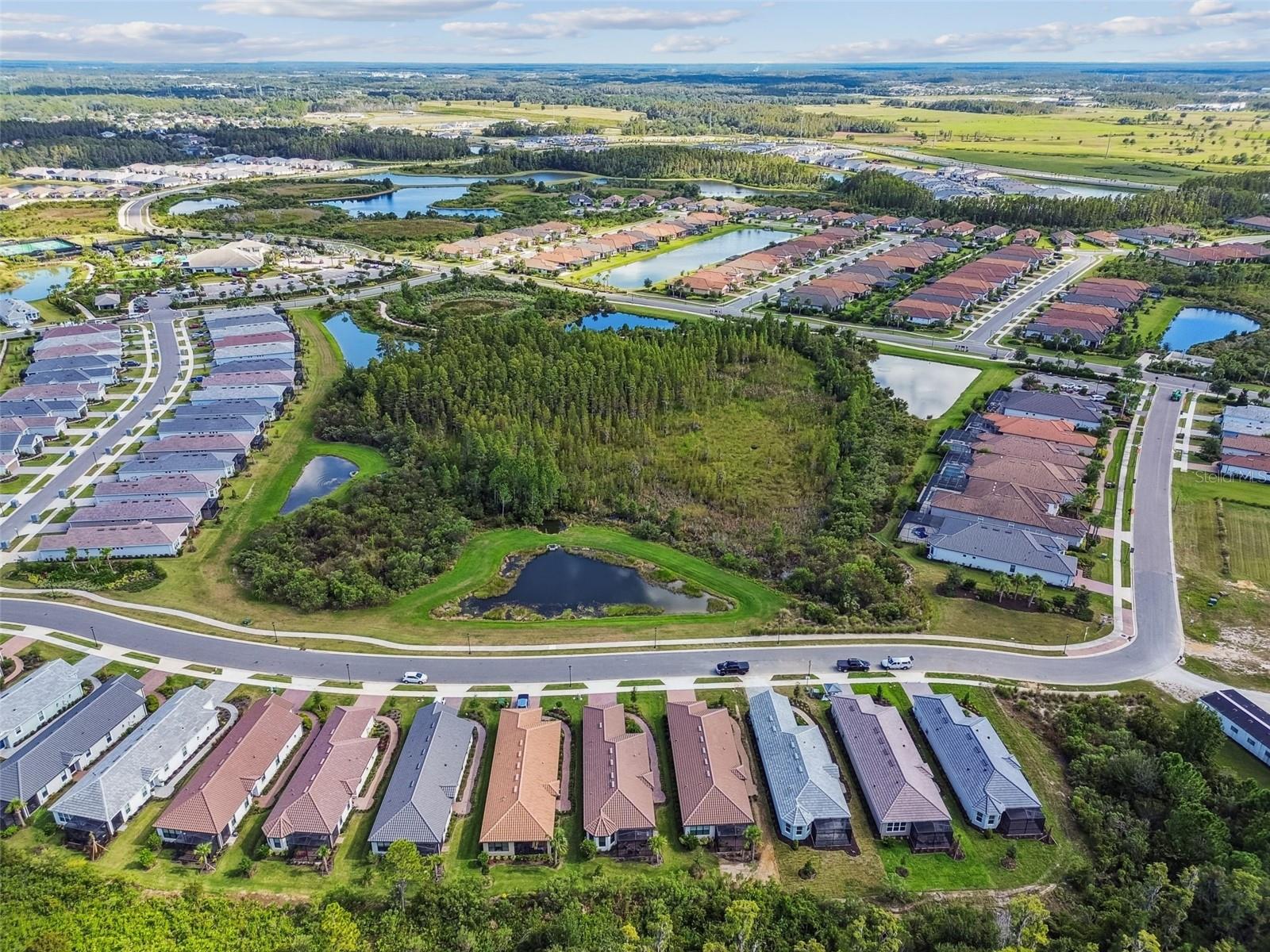 ESPLANADE/WIREGRASS RANCH PH - Residential