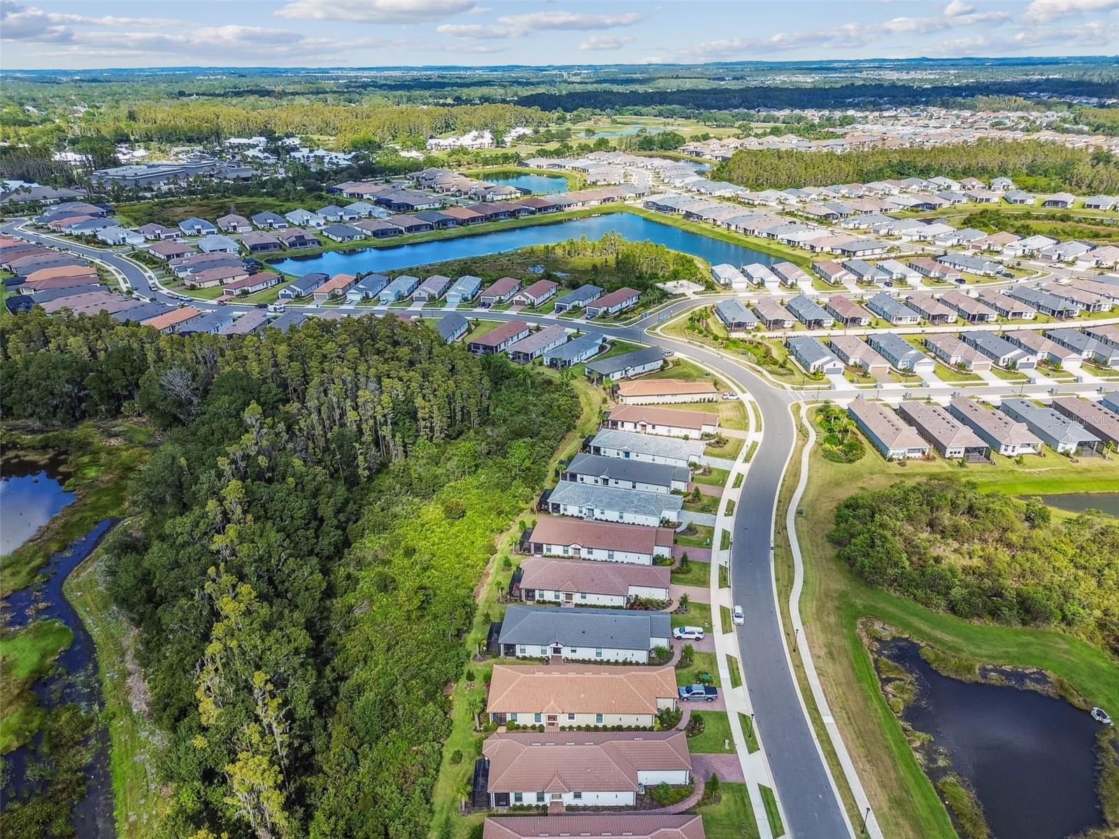 ESPLANADE/WIREGRASS RANCH PH - Residential