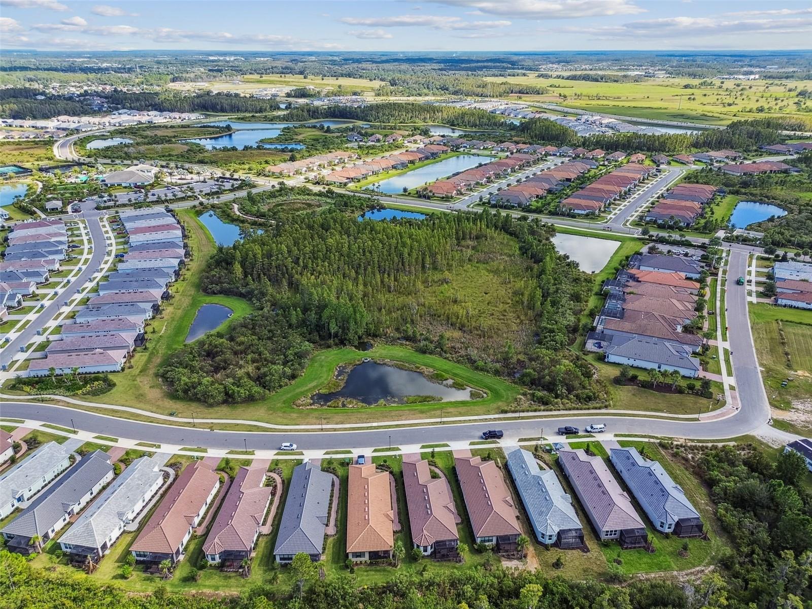 ESPLANADE/WIREGRASS RANCH PH - Residential