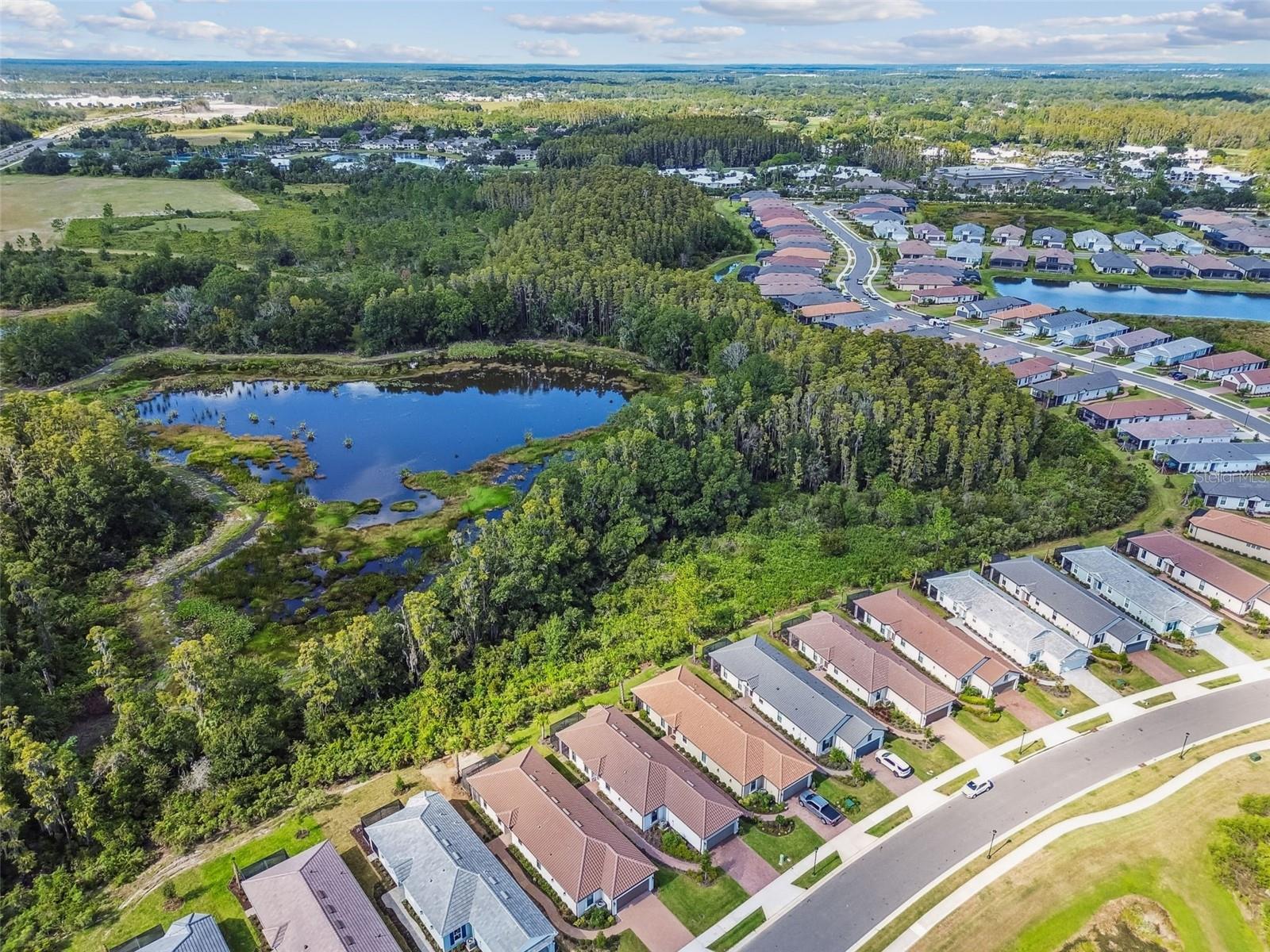 ESPLANADE/WIREGRASS RANCH PH - Residential