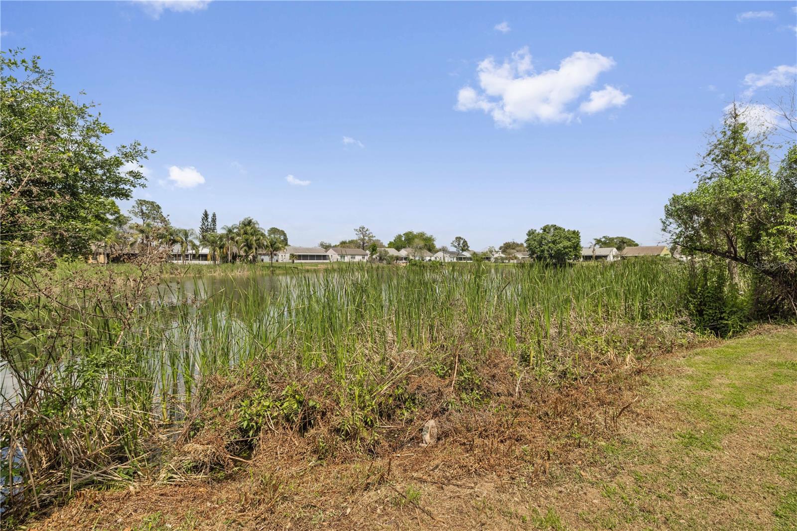 RIVERDALE SUB PH 3A - Residential Lease