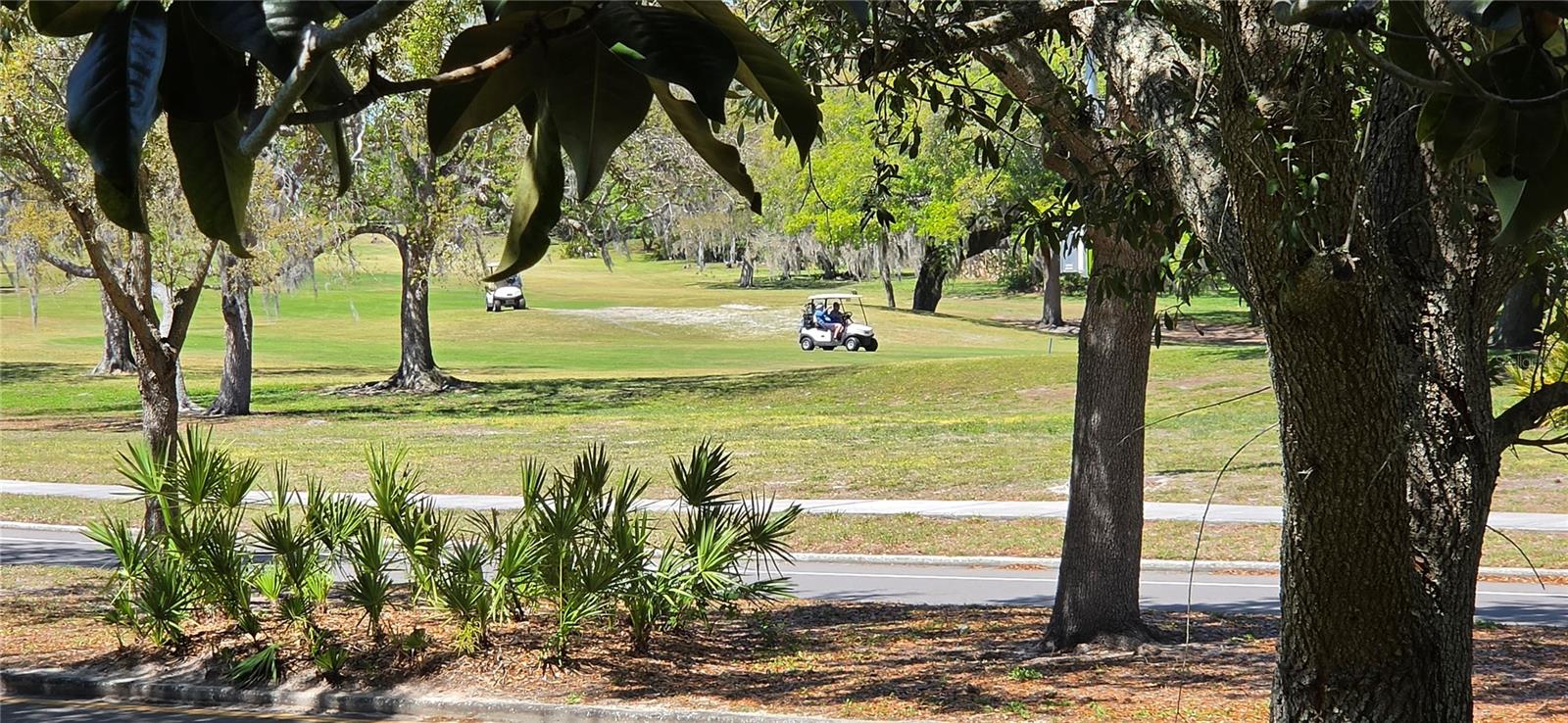 VILLAGE WOODS CONDO PH 03 - Residential