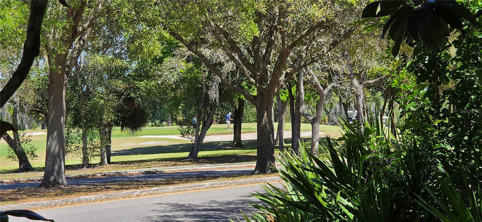 VILLAGE WOODS CONDO PH 03 - Residential