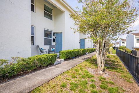 4314 LA MORA COURT TAMPA FL 33611