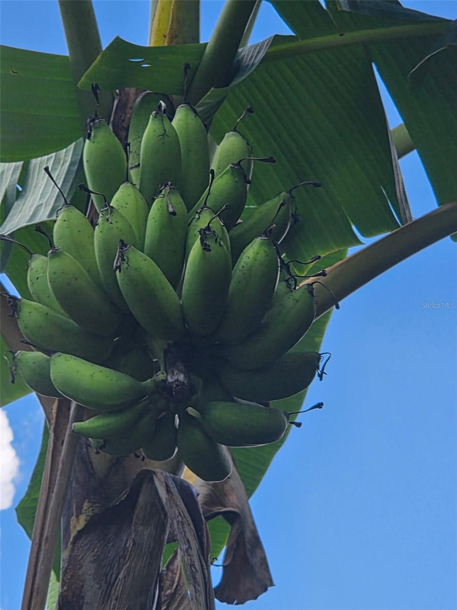 PARKSTONE UNIT 2 - Residential