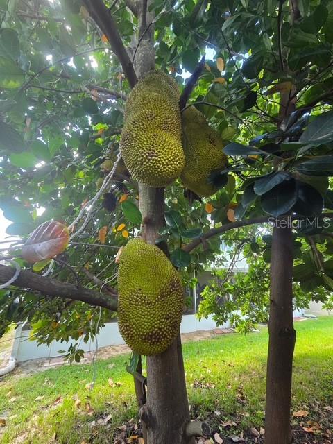 PARKSTONE UNIT 2 - Residential