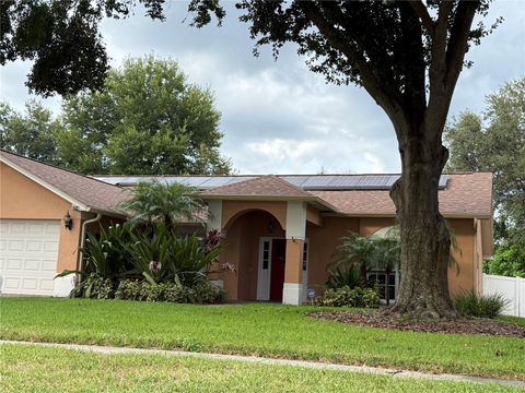 Photo of 2714 Brianholly Drive, Valrico, FL 33596 (MLS # TB8424536) Photo of 2714 Brianholly Drive, Valrico, FL 33596 (MLS # TB8424536)