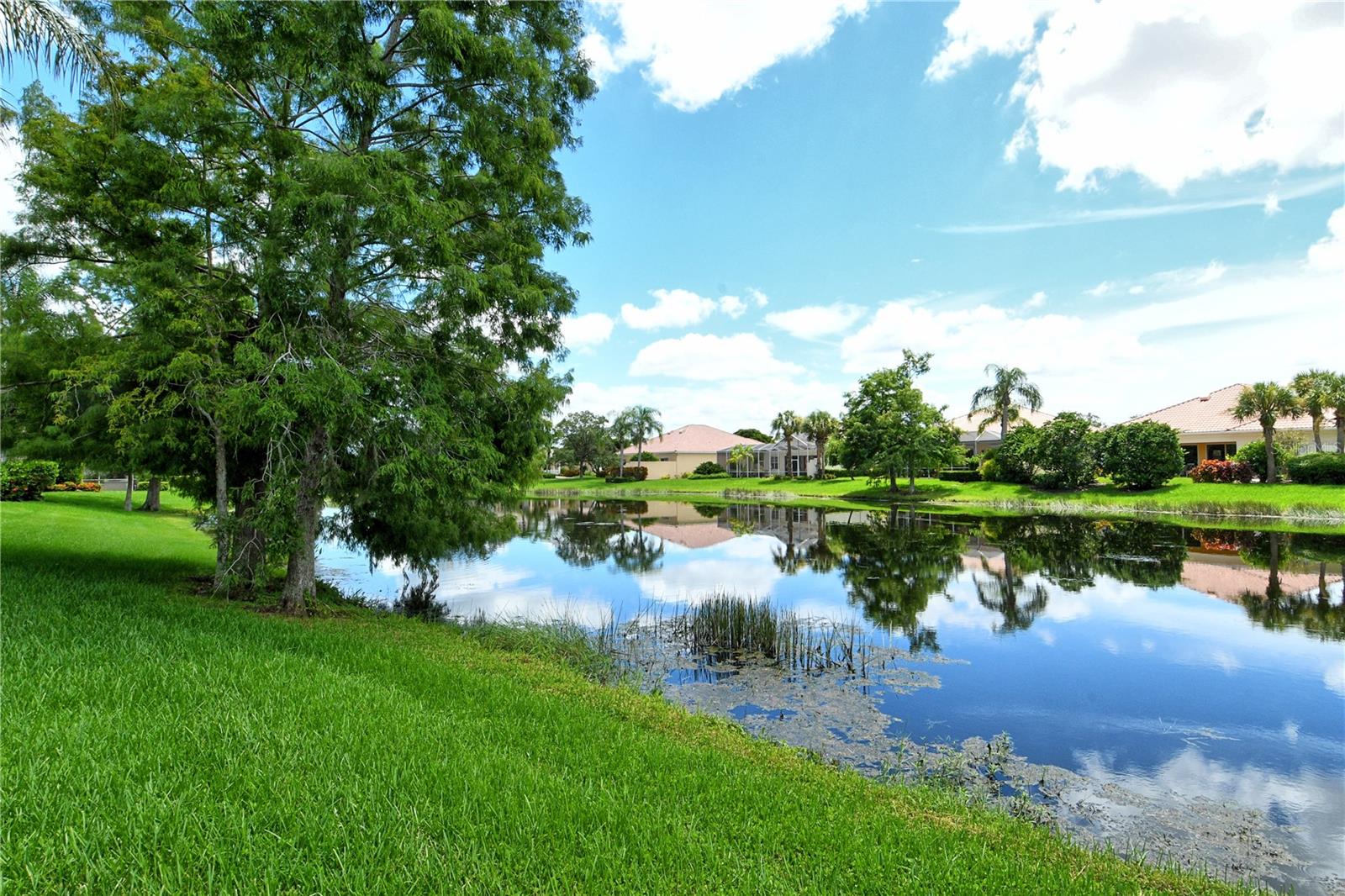 VILLAGEWALK - Residential