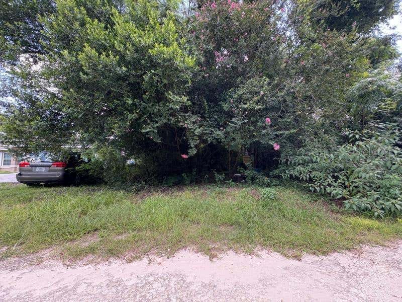 Photo of 3935 SE 140th Lane, Summerfield, FL 34491 (MLS # O6434209)