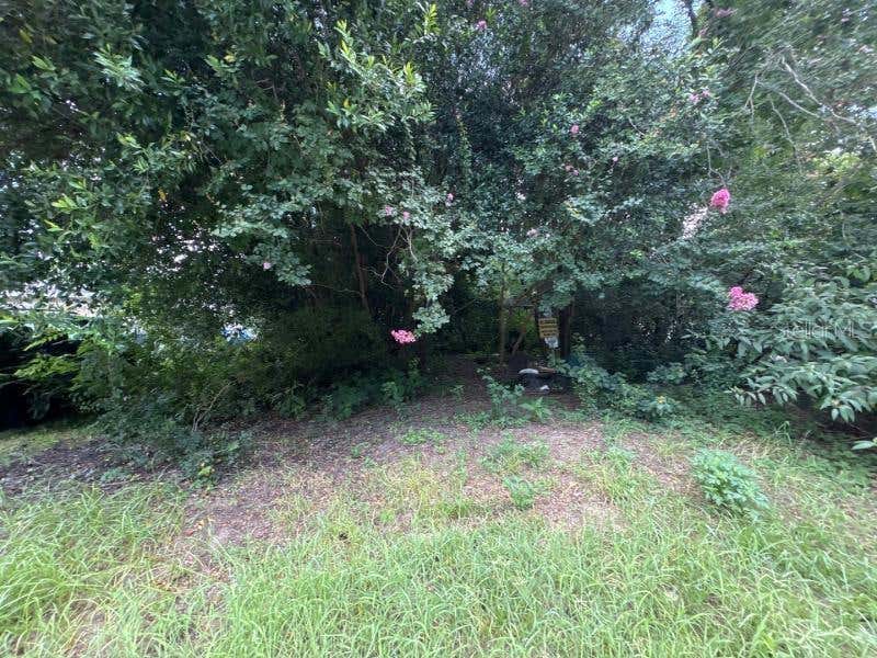 Photo of 3935 SE 140th Lane, Summerfield, FL 34491 (MLS # O6434209)