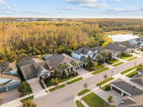 A home in LAND O LAKES