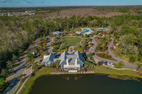 A home in LAND O LAKES