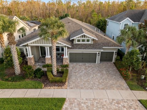 A home in LAND O LAKES