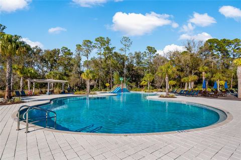 A home in LAND O LAKES