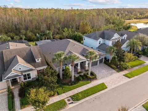 A home in LAND O LAKES