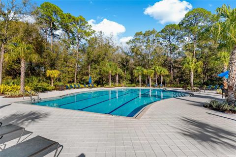 A home in LAND O LAKES