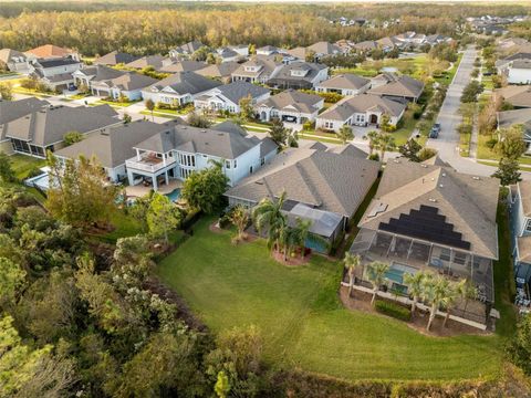 A home in LAND O LAKES