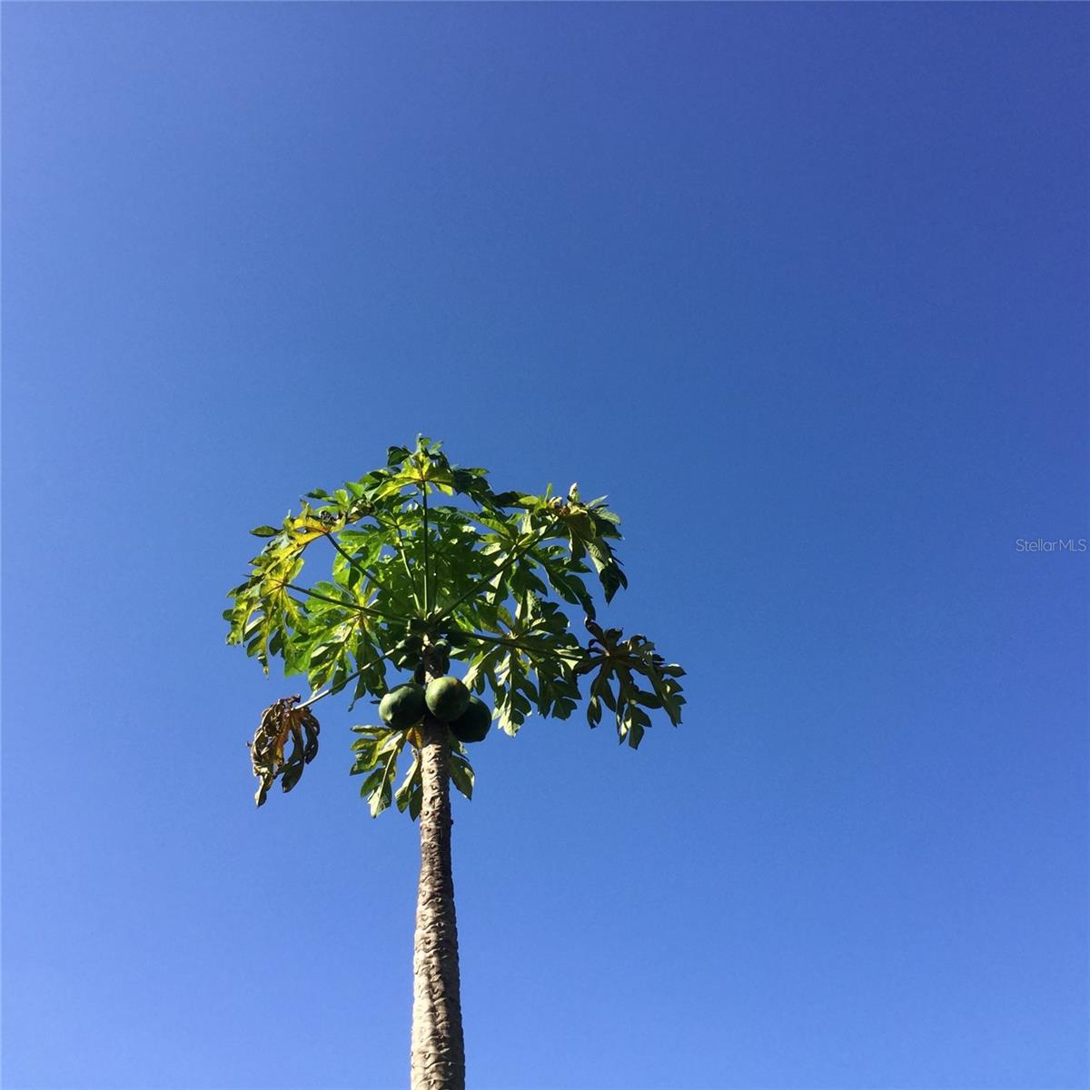 ESTATES AT PHILLIPS LANDING PH 02 - Residential Lease