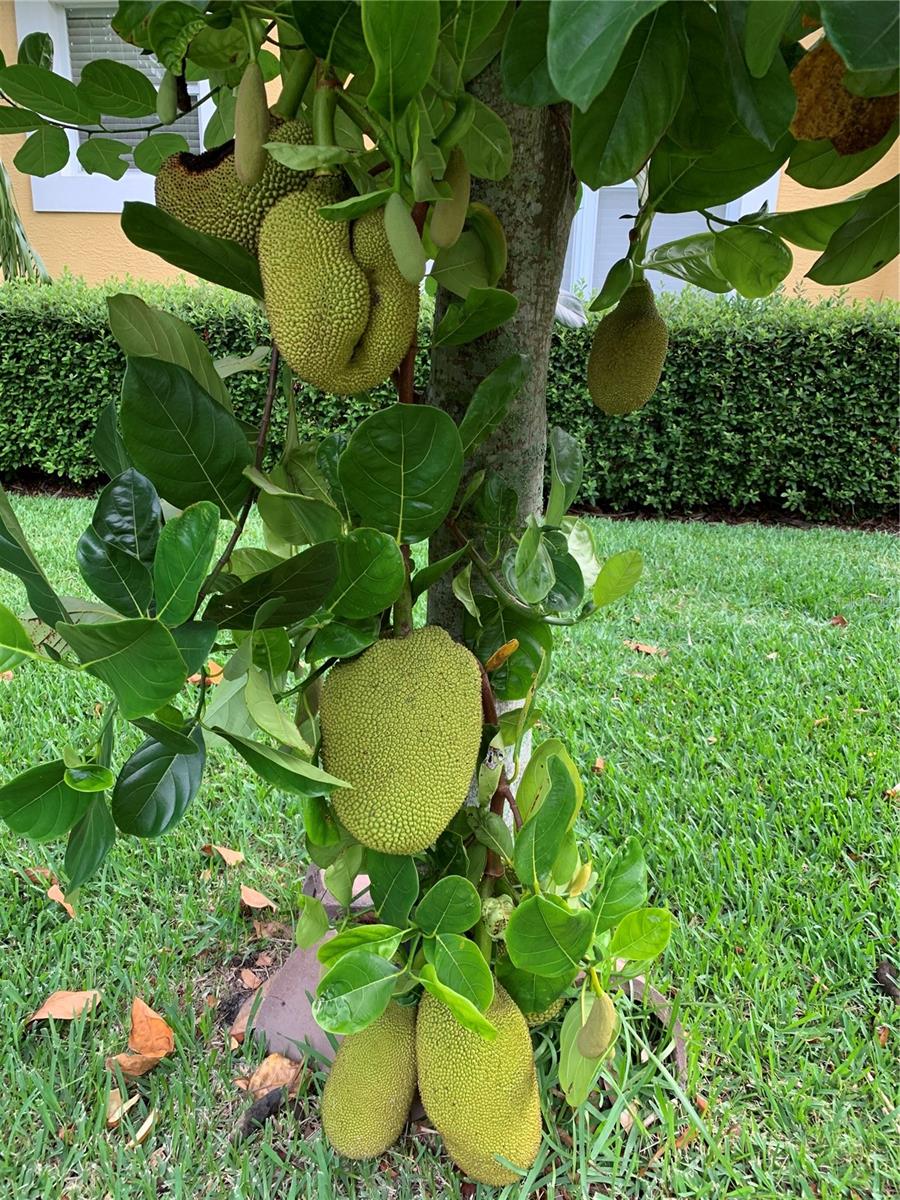 ESTATES AT PHILLIPS LANDING PH 02 - Residential Lease