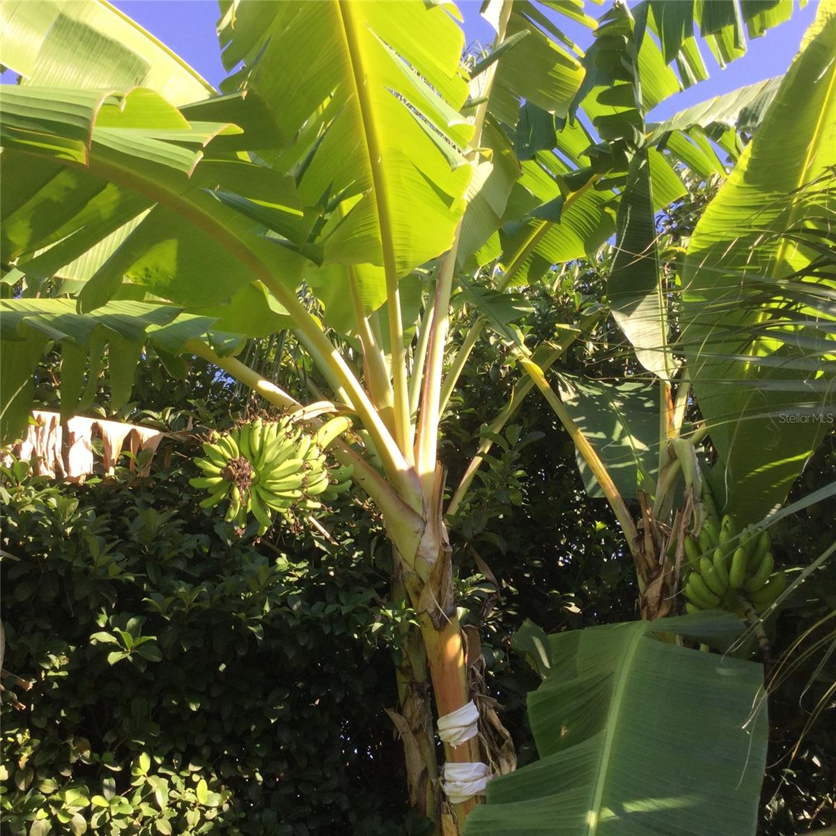 ESTATES AT PHILLIPS LANDING PH 02 - Residential Lease