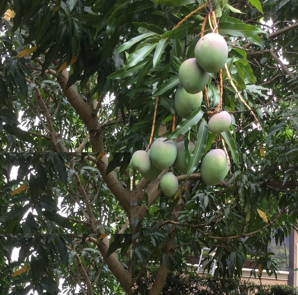 ESTATES AT PHILLIPS LANDING PH 02 - Residential Lease