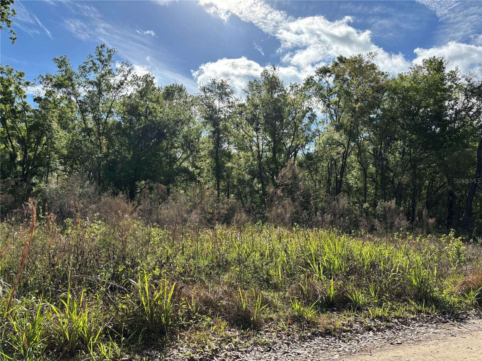 MOON LAKE ESTATES - Land