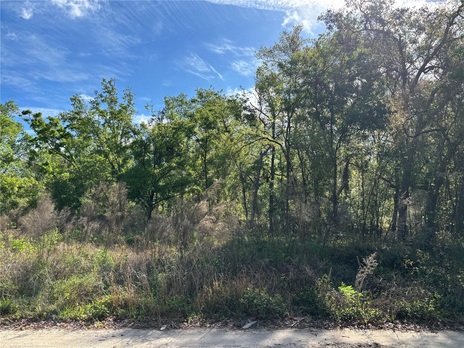 MOON LAKE ESTATES - Land