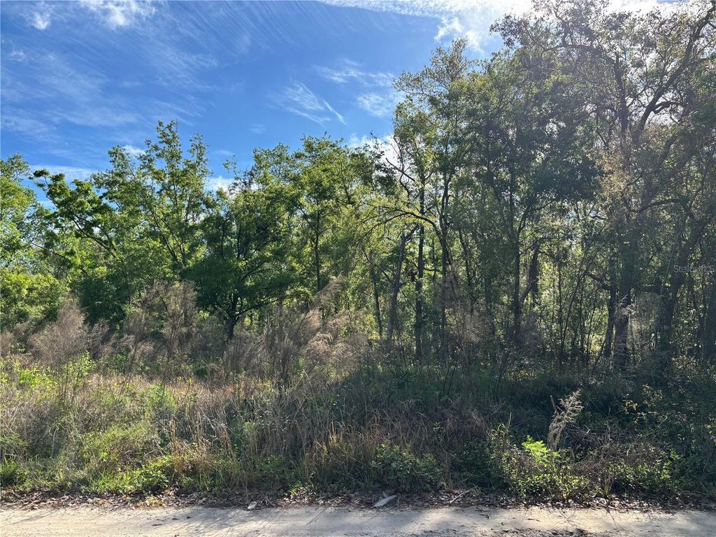 Photo of 11042 Bounty Street, New Port Richey, FL 34654 (MLS # W7874229)