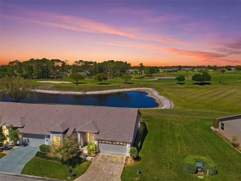 Photo of 11131 Hollander Avenue, Hudson, FL 34667 (MLS # W7883439)