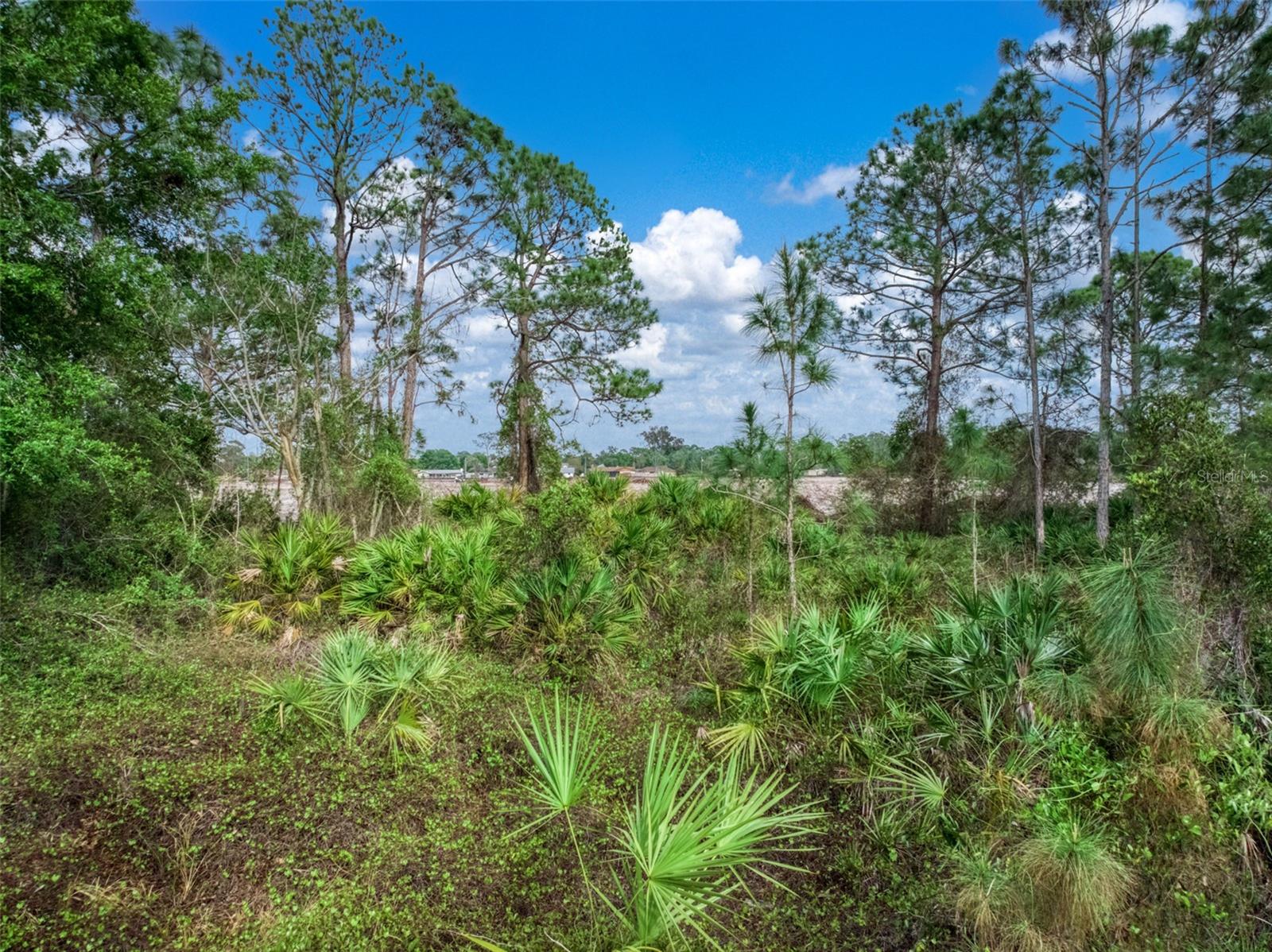 ORANGE BLOSSOM ESTATE - Land