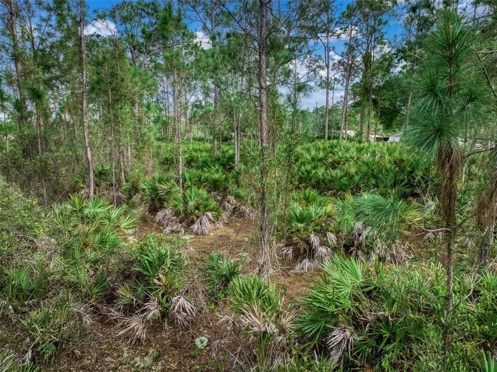 ORANGE BLOSSOM ESTATE - Land