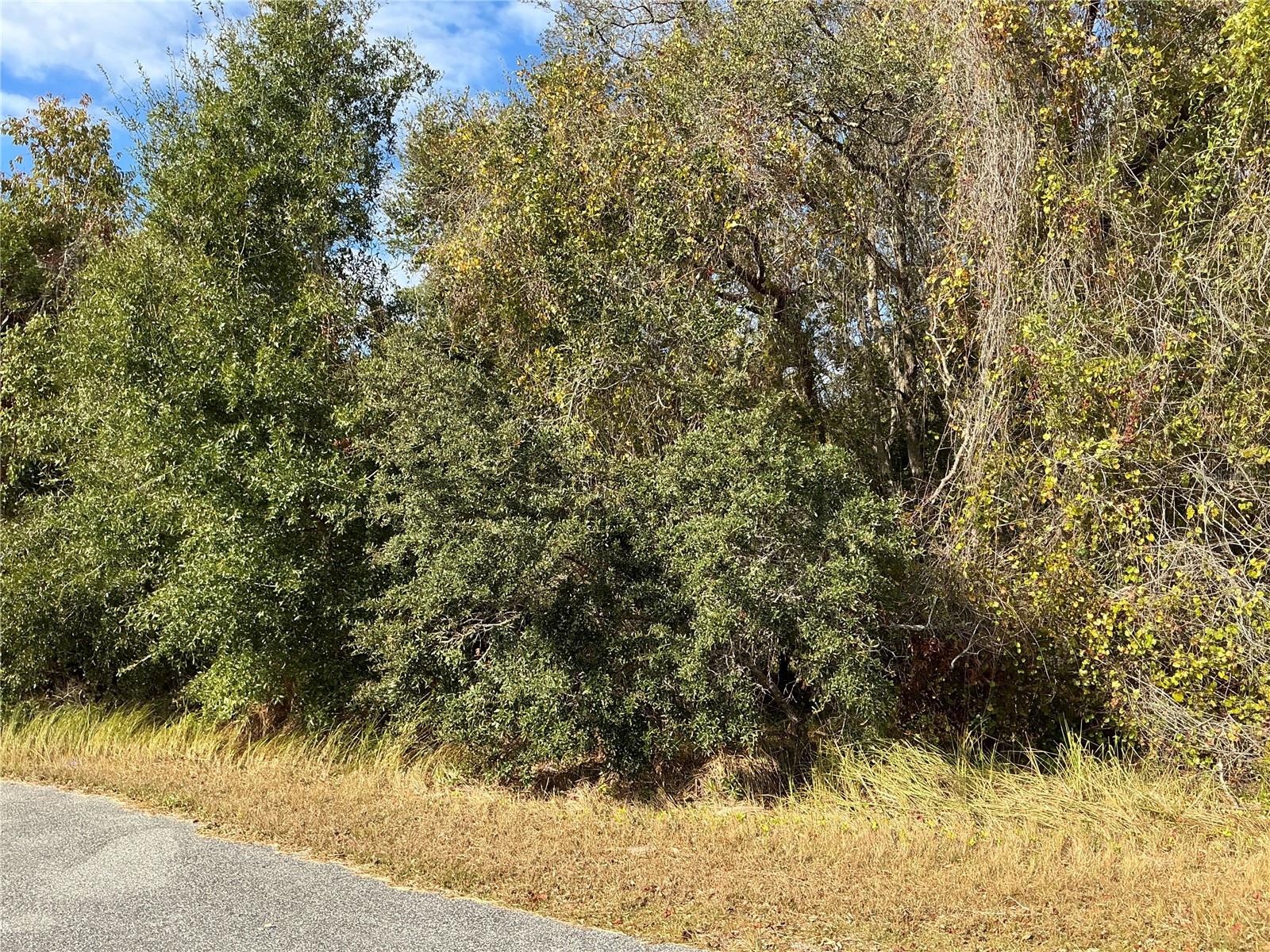 Situated in the heart of Silver Springs Shores this lot measures 97 by 114 feet.. Located outside the flood zone, with no wetlands or protected species on site, this lot is shovel-ready and primed for development. Silver Spring Shores is located southeast of downtown Ocala and near I-75 and 441 for easy access to the Orlando suburbs. Ocala has plenty to do for nature lovers including natural springs, state forests, mudding and biking trails. Silver Spring Shores is exploding with development due to low housing prices and cheap land. Walmart and shops are just 10 minutes away. Silver Springs Shores, one of the largest artesian spring formations in the world, is just 10 minutes away. Just 20 minutes to downtown Ocala, and 1 hour to downtown Orlando.