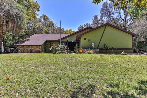 Photo of 540 W Liberty Street, Hernando, FL 34442 (MLS # OM721374)