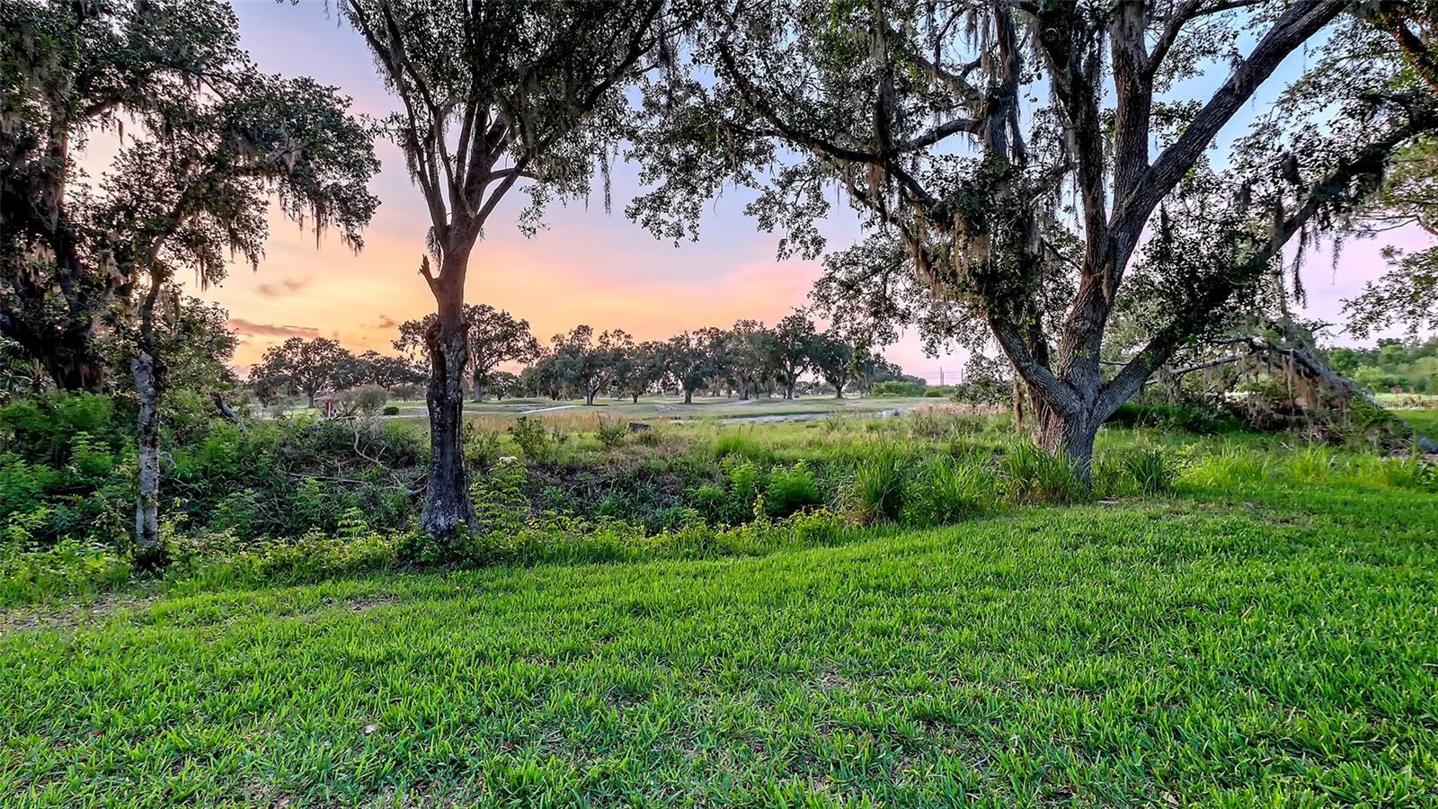 TATUM RIDGE - Residential