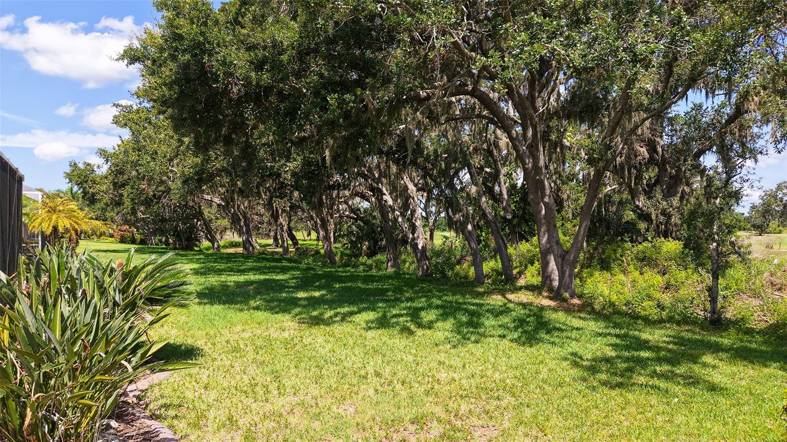 TATUM RIDGE - Residential