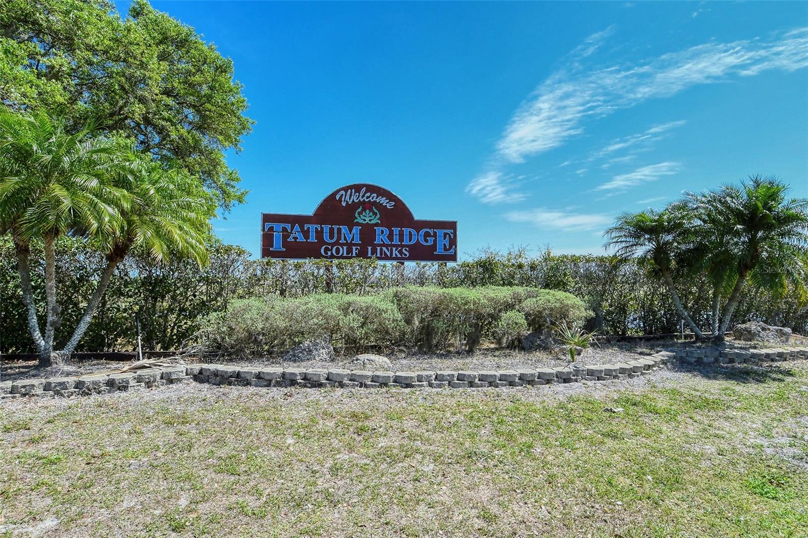 TATUM RIDGE - Residential