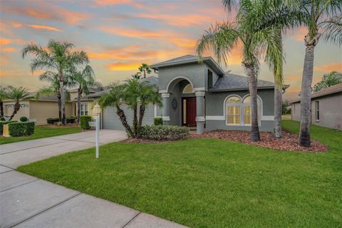 Photo of 1043 Dustan Place, Trinity, FL 34655 (MLS # W7881151)