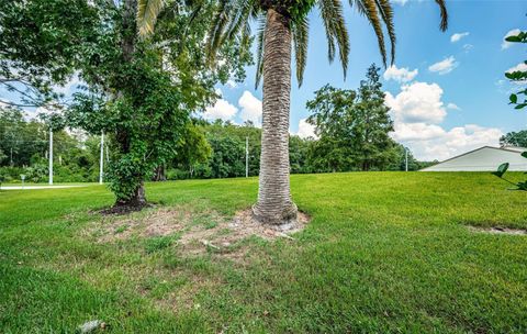 A home in TARPON SPRINGS