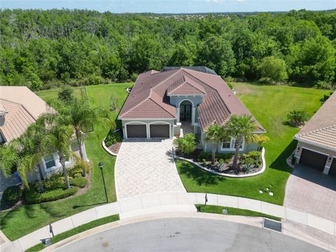 A home in WIMAUMA